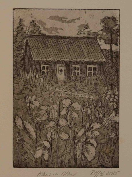 Landhaus in Island